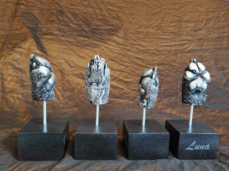 IMG 20211116 1027581