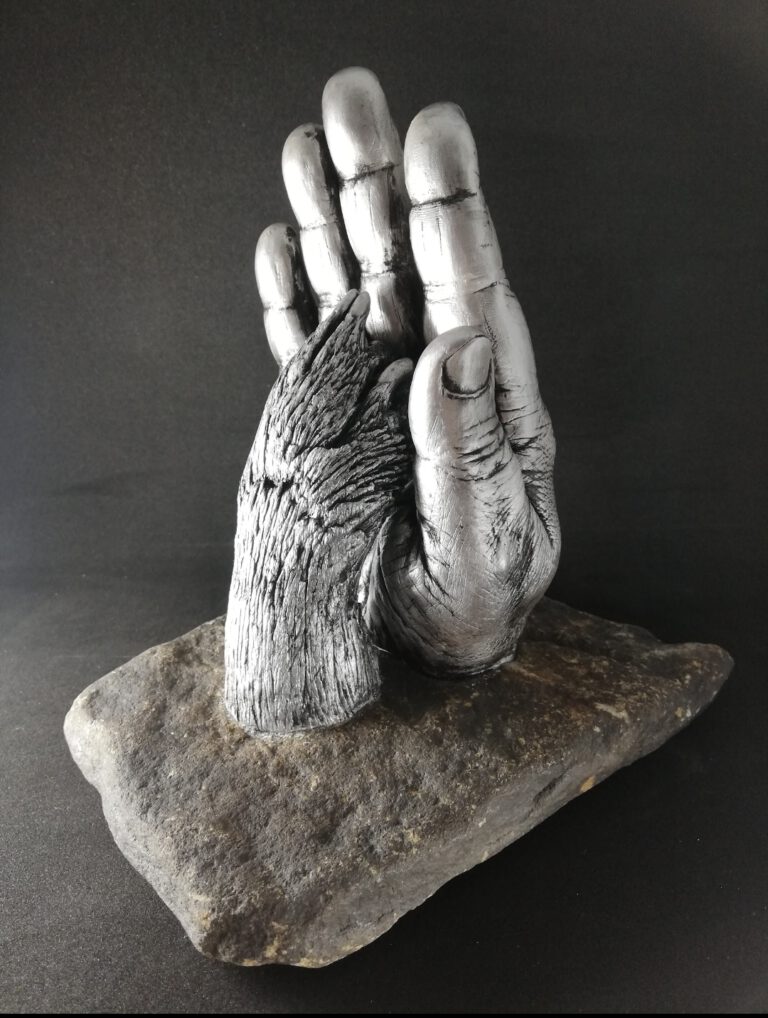 Screenshot 20211117 091956