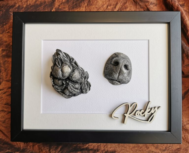 IMG 20220624 172943 edit 1739896458869911