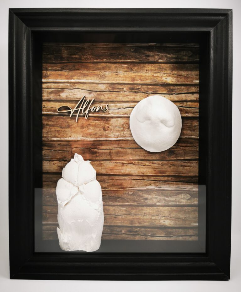 IMG 20221210 114034 edit 109633081949936