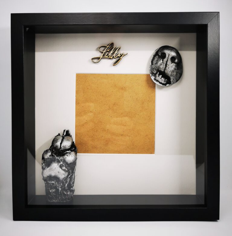 IMG 20221210 114135 edit 559892922792169