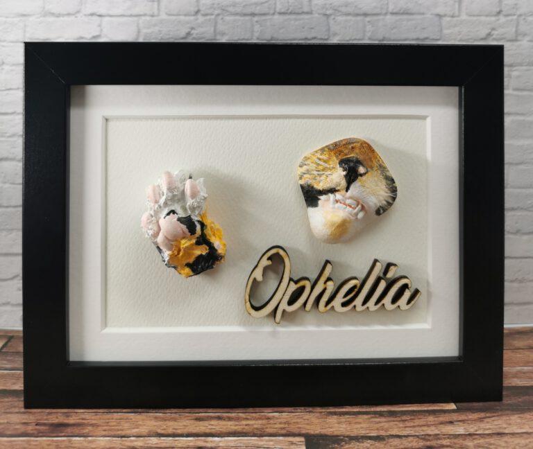 IMG 20230424 185117 edit 536959548572231