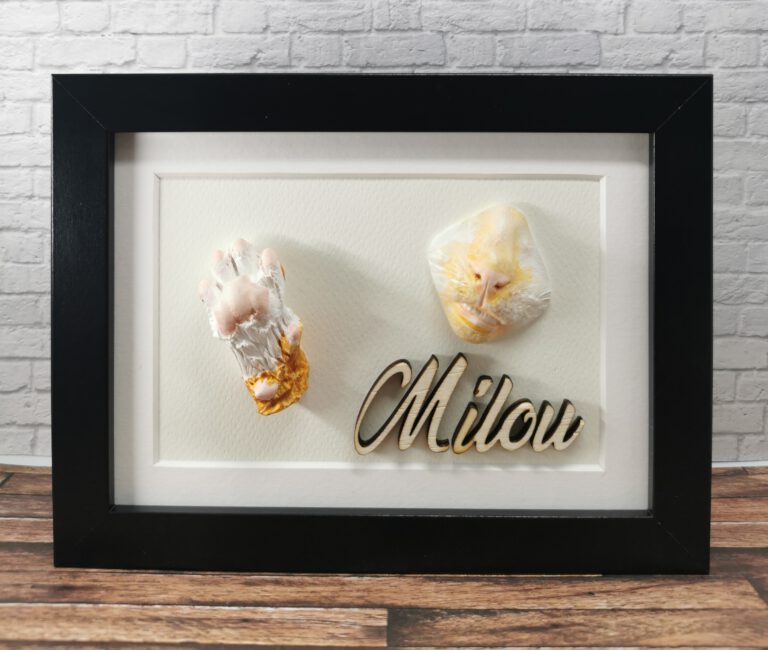 IMG 20230424 185519 edit 5372033898742771