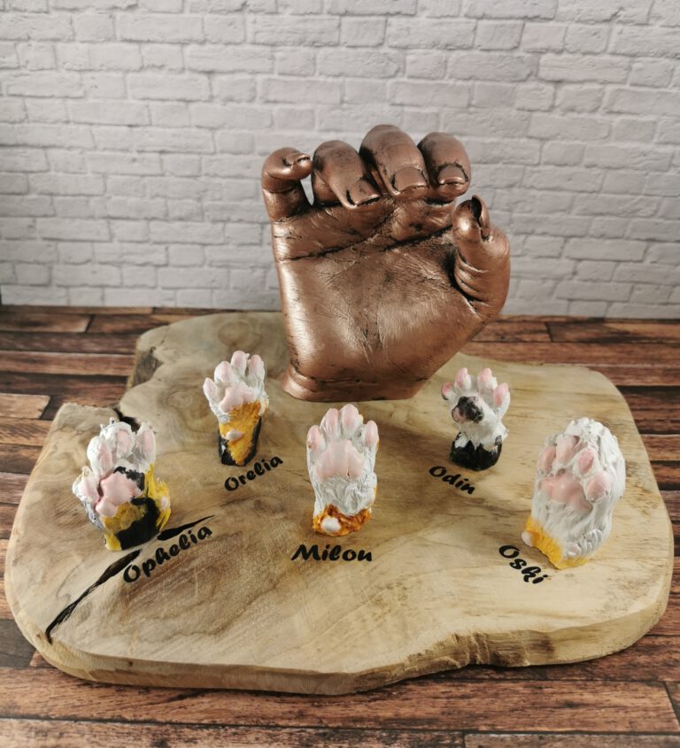 IMG 20230426 105529 edit 578629590414309