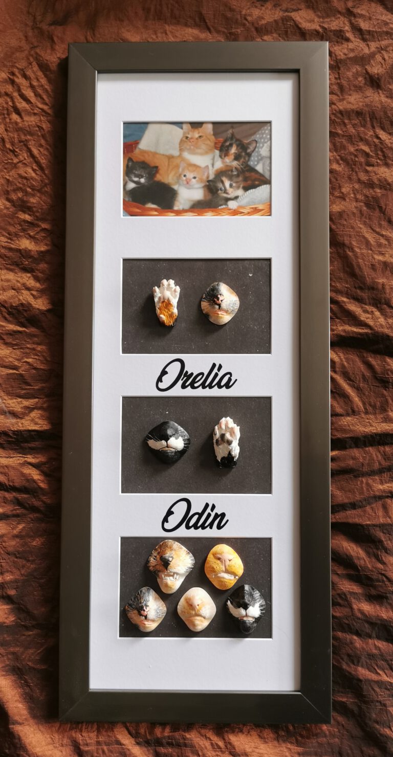 IMG 20230426 123239 edit 582839523574084