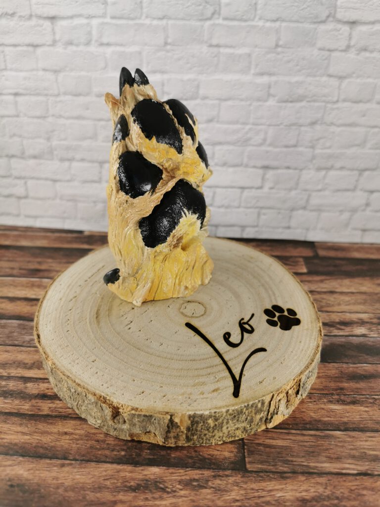 IMG 20231017 1555011